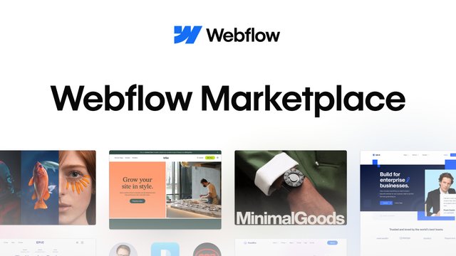 Webflow Showcase